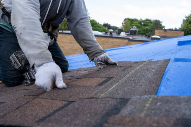 Quick and Trustworthy Emergency Roof Repair Services in Shingletown, CA