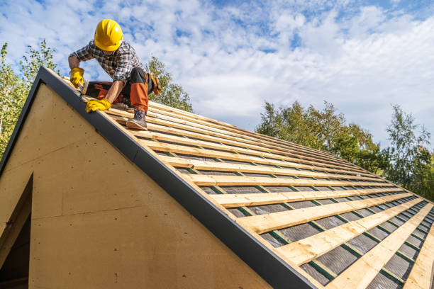 Best Roof Gutter Cleaning  in Shingletown, CA